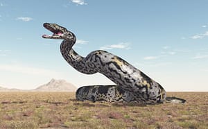titanoboa